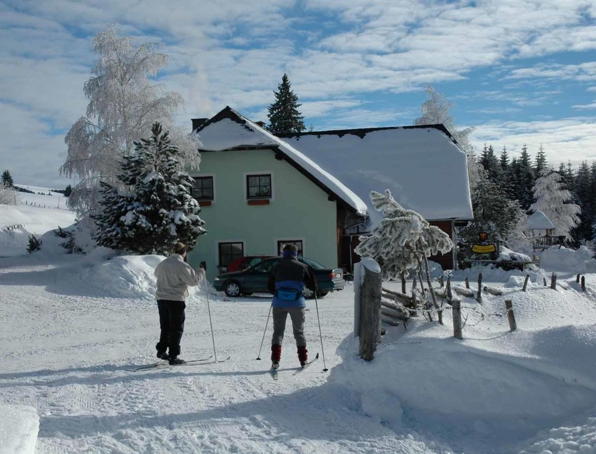 Pension Holzmeister Sankt Kathrein am Offenegg Exteriér fotografie