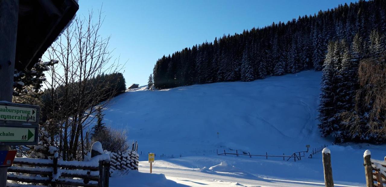 Pension Holzmeister Sankt Kathrein am Offenegg Exteriér fotografie